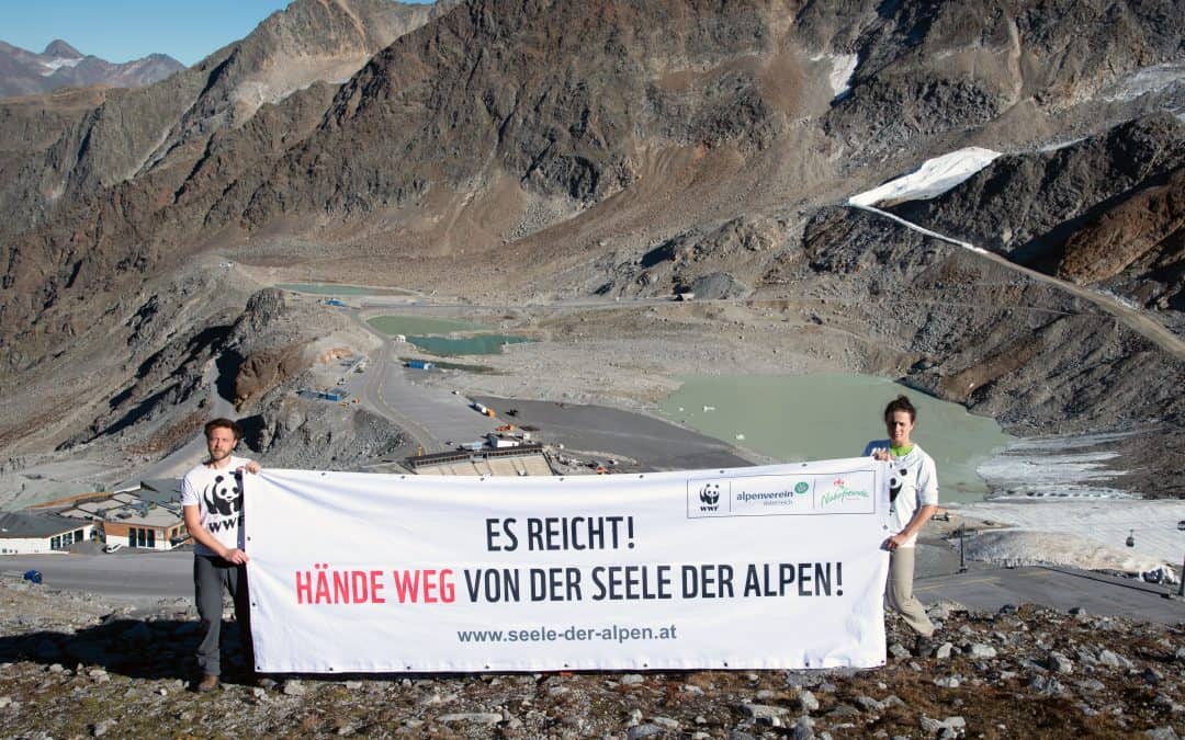 WWF fordert Stopp des Tiroler Seilbahnprogramms